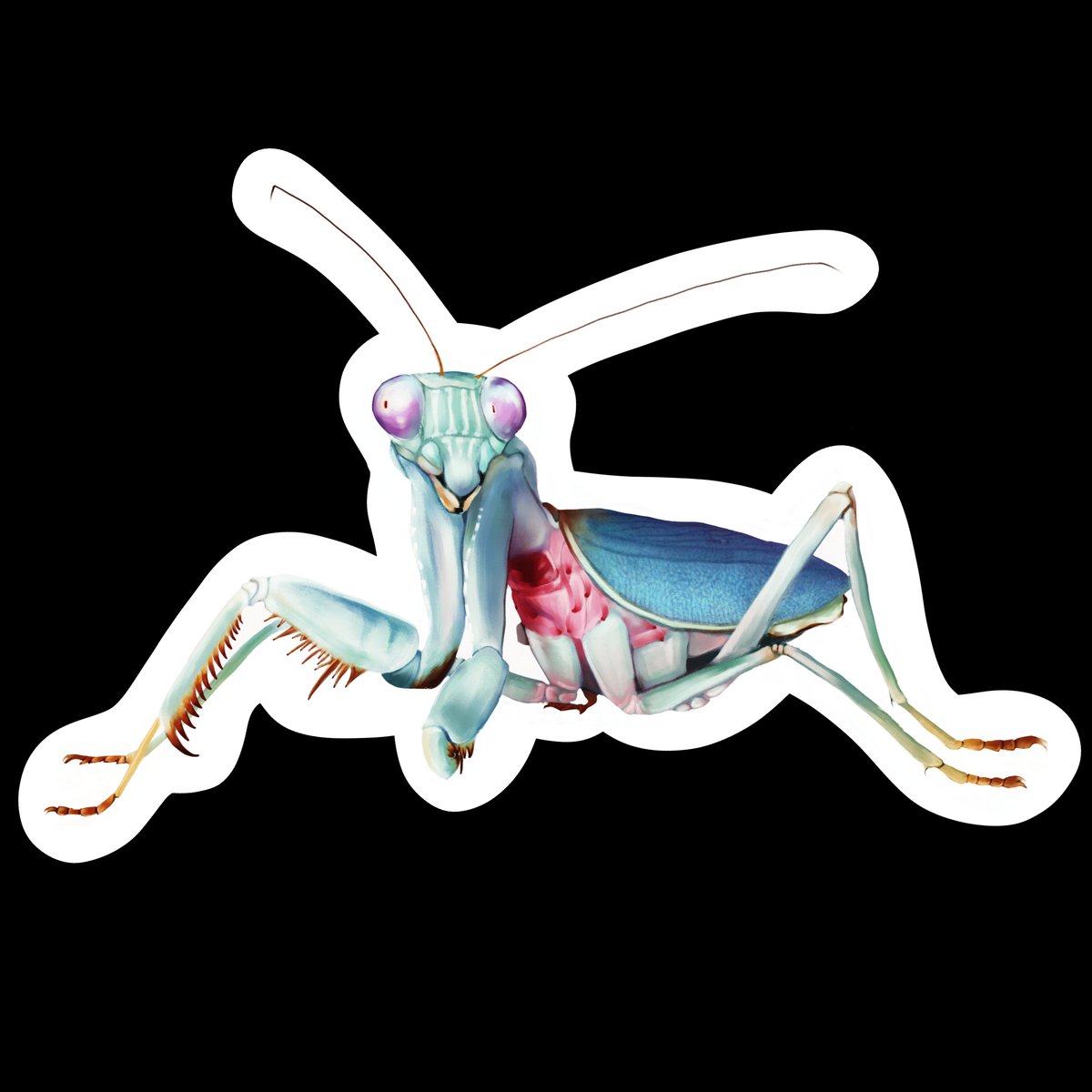 ElliewiArt's tweet photo. This is a really fun commission I did pretty recently!! I was commissioned to draw an image of a Jade Mantis!! ✨✨
Isn't it so pretty??🥹🥹✨
#art #commission #vgencomm #vgenartist #mantis #bug https://t.co/yfCT6nIkdY