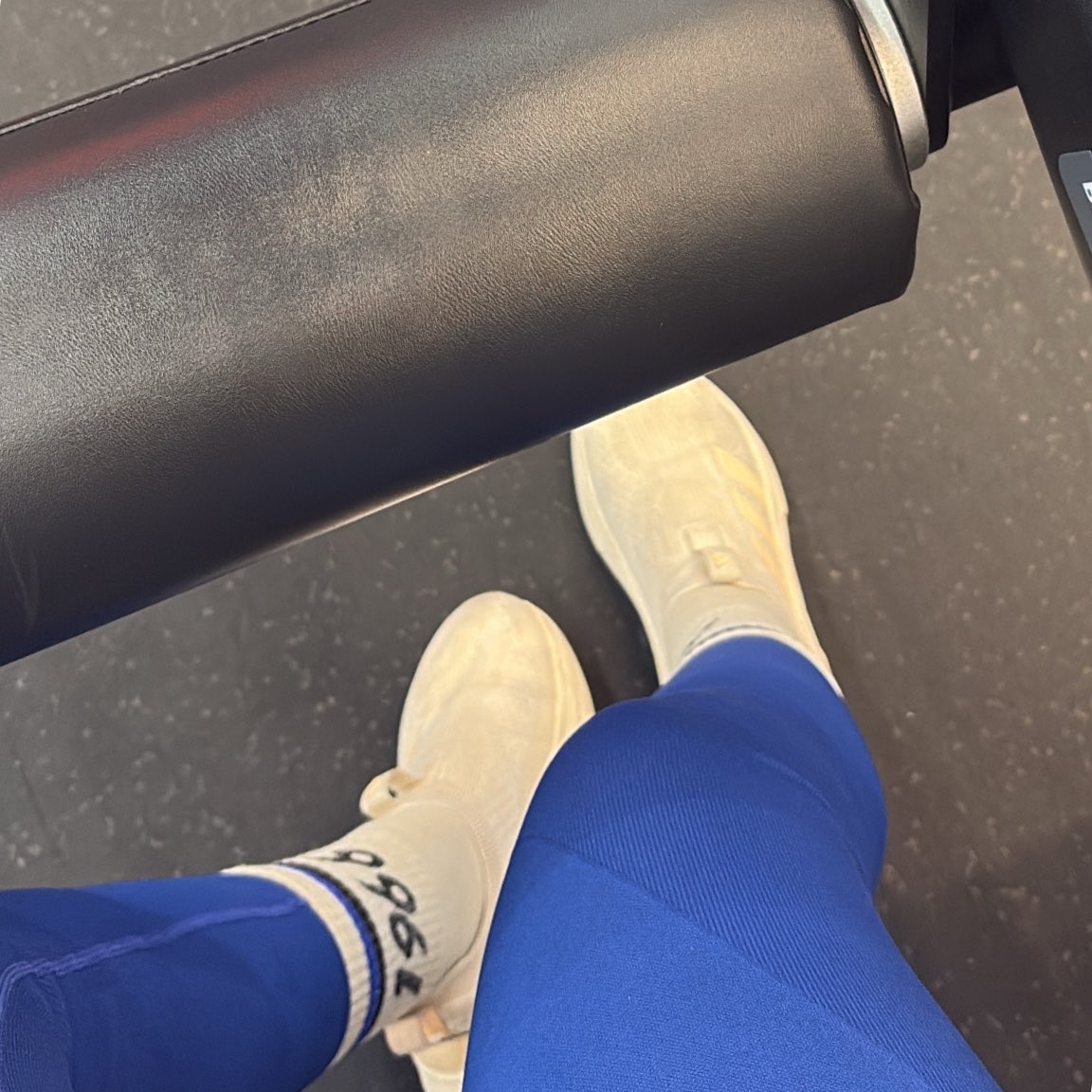 sweetnotthat's tweet photo. Guess who’s back? https://t.co/KeXXuHKOSf