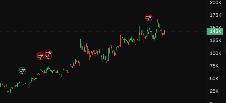 FattNeko's tweet photo. $Mouse - Still holding 50%

Bullish with potential X interactions, could easily go 600k+

ca: C3NovCXxSQxovczpRRyb3T7ZAX1Z87Bt5xNoFXsaQVt1 https://t.co/RBHNTwjCEg