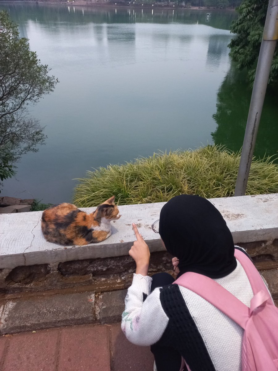 chiveyron's tweet photo. Menemani orang cantik dan imut keliling kenanga dan rotunda seakan-akan kami wujud romansa maba https://t.co/FgHym1ScuB