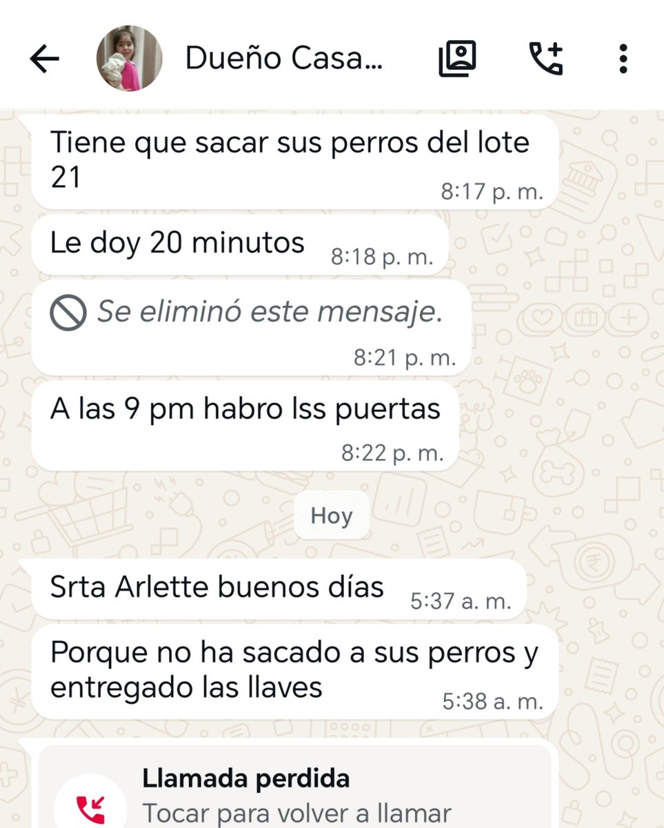 _arlettesalazar's tweet photo. MUDANZA URGENTE ‼️🚨
Amigos, no tenemos tiempo para mudarnos😭conseguí un alquiler de casa con patio para los rescatados, urge juntar s/1,000 para el mes adelantado y s/500 mitad de garantía #RT 
AYUDA PORFAVOR🙏🏼
🔴 Yape/plin 934962128 Jaquelyn Salazar
https://t.co/Sctr1ebgE1 https://t.co/Kttrhc0lvu