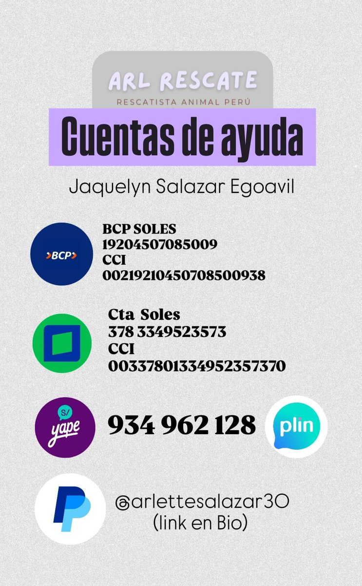_arlettesalazar's tweet photo. MUDANZA URGENTE ‼️🚨
Amigos, no tenemos tiempo para mudarnos😭conseguí un alquiler de casa con patio para los rescatados, urge juntar s/1,000 para el mes adelantado y s/500 mitad de garantía #RT 
AYUDA PORFAVOR🙏🏼
🔴 Yape/plin 934962128 Jaquelyn Salazar
https://t.co/Sctr1ebgE1 https://t.co/Kttrhc0lvu