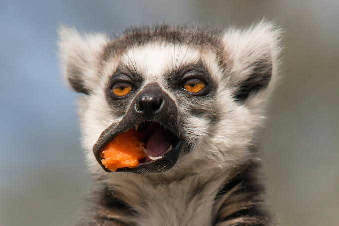 riffrufff's tweet photo. When you are at home early eating ugali just happy AF that you have avoided counterfeit alcohol out there and then the news come on... https://t.co/iVBuGddImS