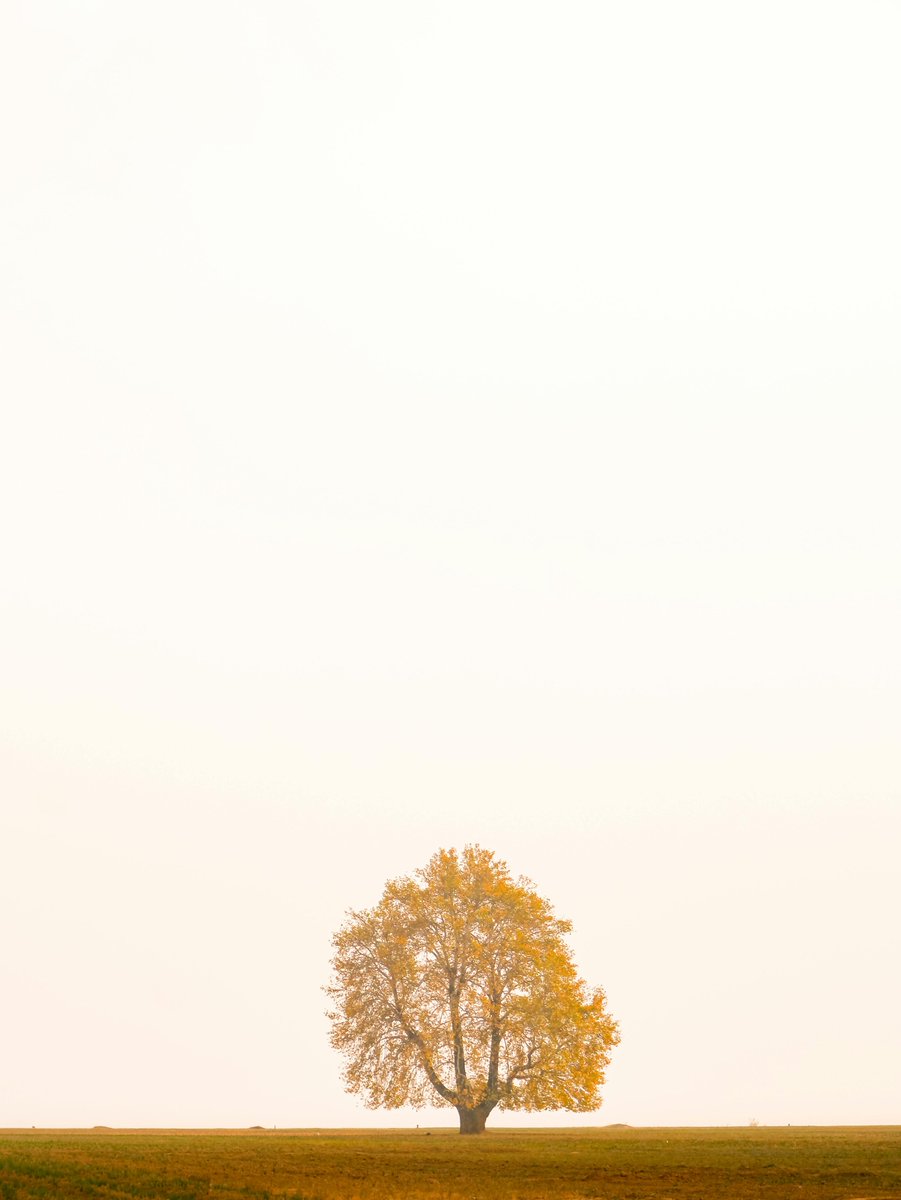 paulo11bb's tweet photo. Even in my dreams, you are everything my heart longs for https://t.co/JIbyfFODBs