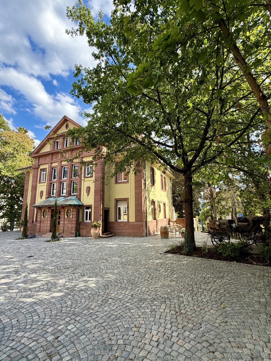 TheKadeEdit's tweet photo. Kaiserslautern, Germany is the first stop on this 15-day adventure. https://t.co/0E7n8Tzvvu