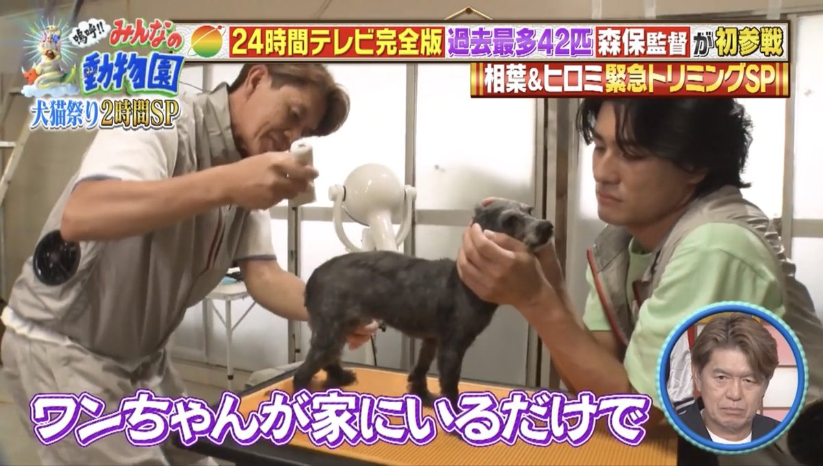 oratnihs__'s tweet photo. 慎太郎くんがワンちゃんに向ける顔とか、言葉遣いとか全部すき
ワンちゃんになりたい(切実) https://t.co/5tRXYaYZbb