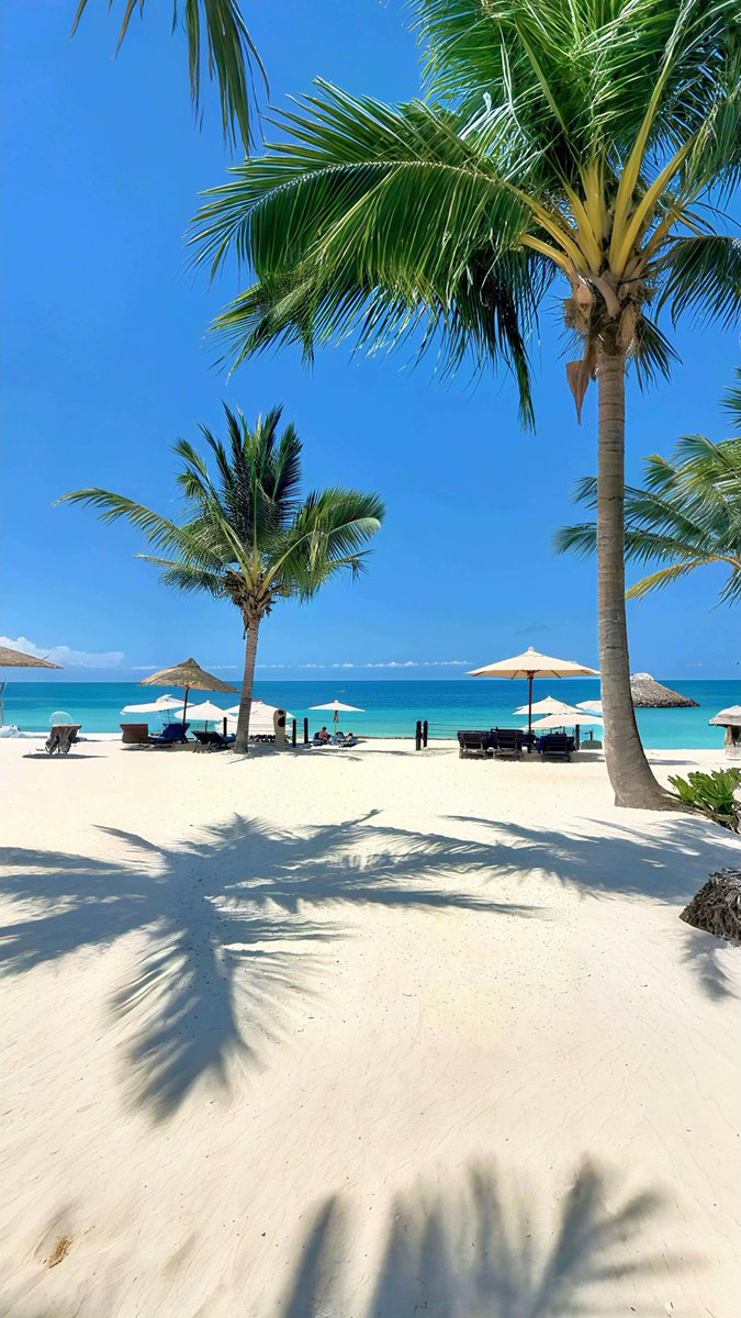 viewsoff's tweet photo. Zanzibar https://t.co/R1SWMwNHsf