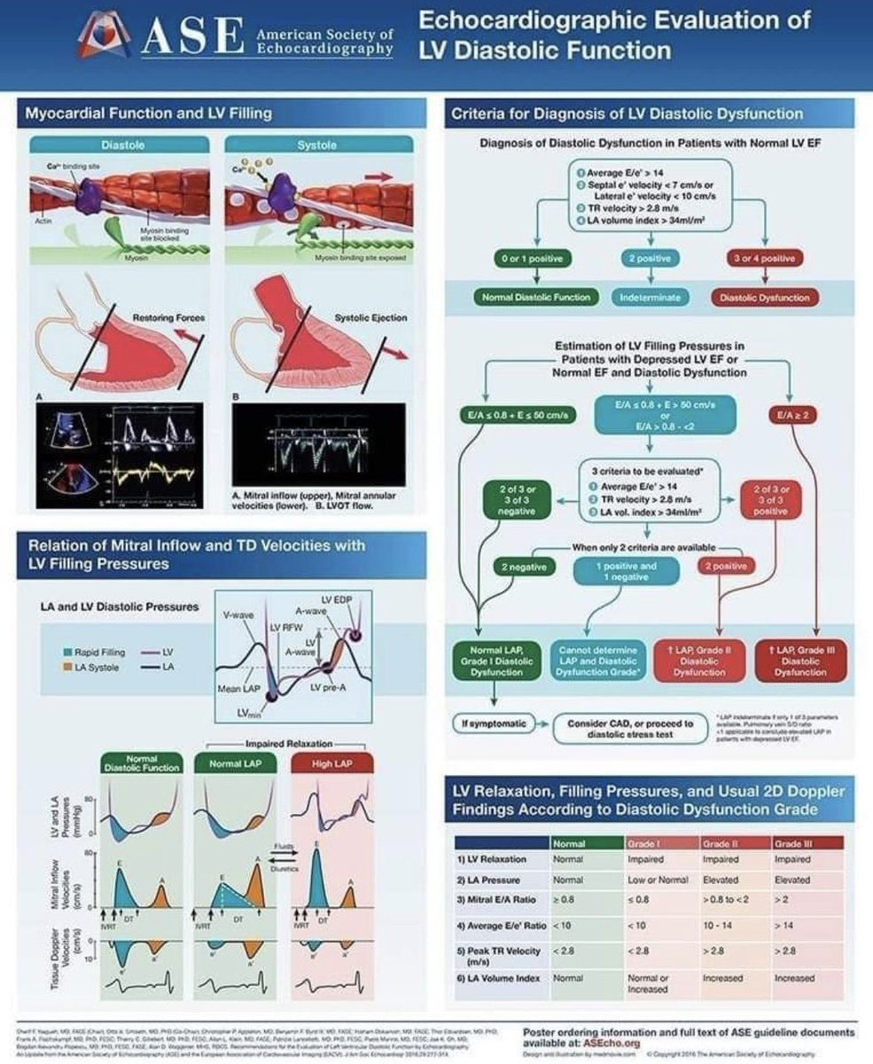 ZainKhalpey's tweet photo. Echocardiographic evaluation of LV diastolic function made simpler with this ASE visual, bringing together Doppler findings, filling pressures, and diastolic dysfunction grading in one reference.

@ASE360 

#Echocardiography #Cardiology #MedTwitter #CardiacImaging https://t.co/kWOkk5El7v