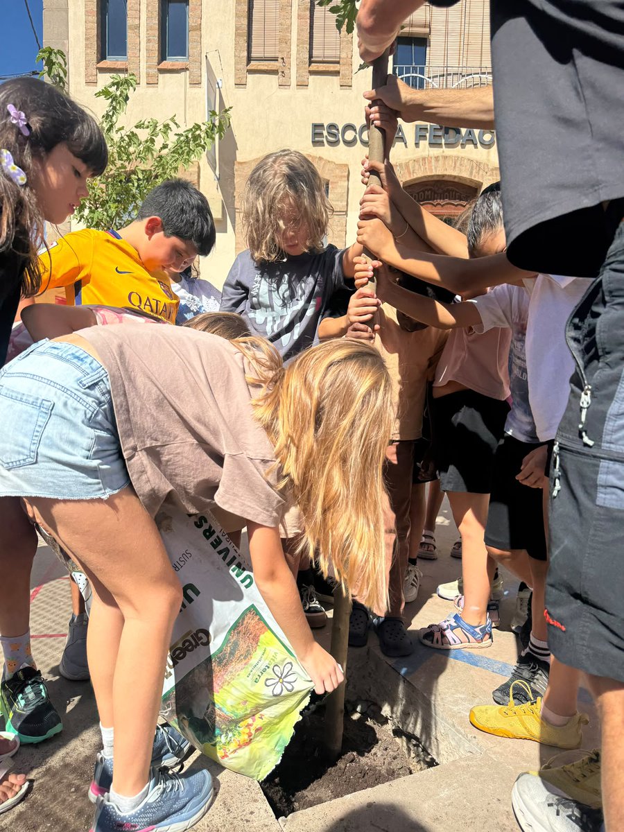 FEDACPrats's tweet photo. Per cert, que no us ho havíem dit!
Ahir els alumnes van plantar moreres bordes al pati!
No només les van plantar, sinó que van aprendre a acomodar la terra, a regar i es van comprometre a cuidar-les durant tot el curs ✨🌳
Us agrada!?
#vincle #llegat #responsabilitat https://t.co/gu7KEapUHF