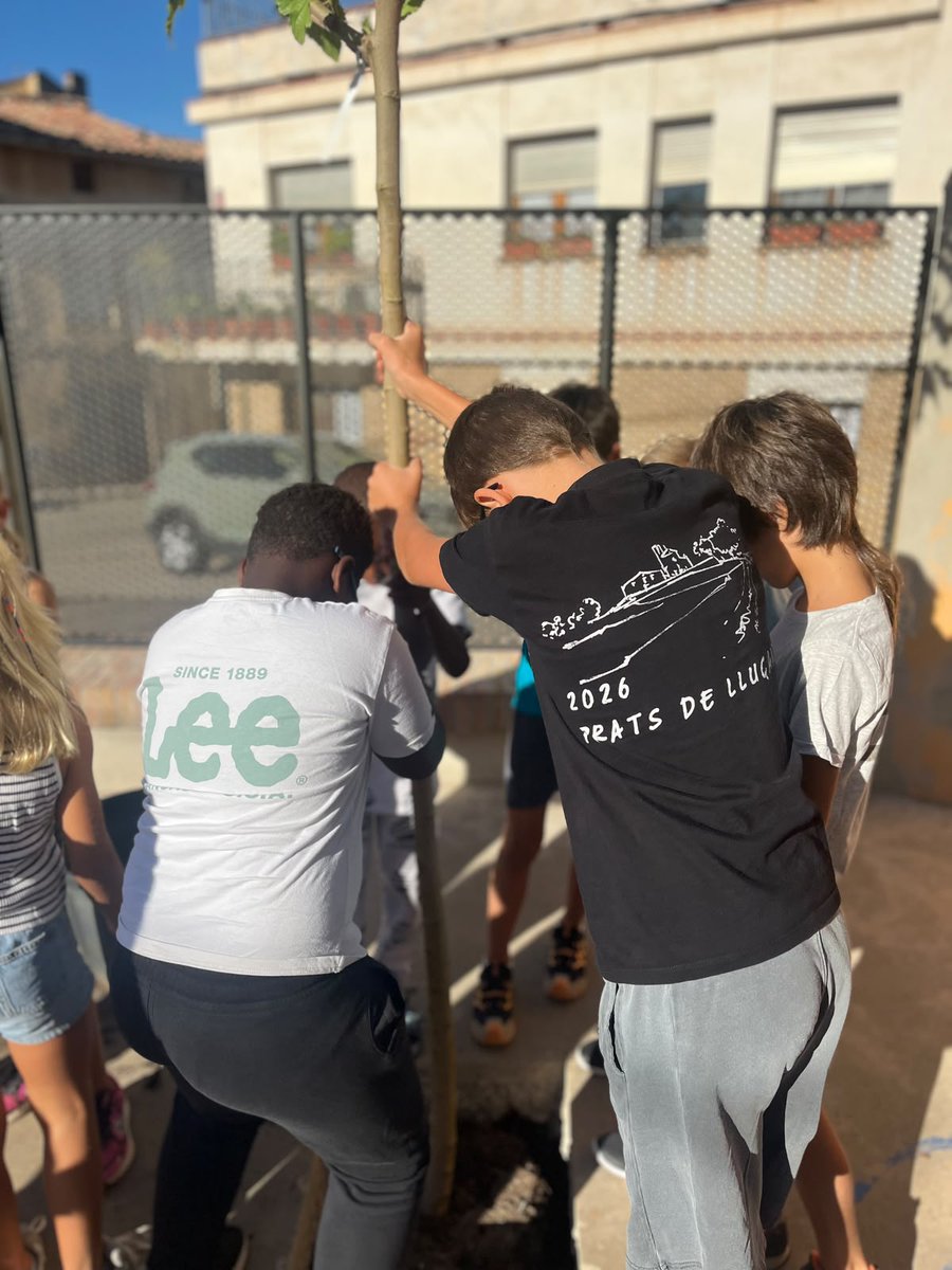 FEDACPrats's tweet photo. Per cert, que no us ho havíem dit!
Ahir els alumnes van plantar moreres bordes al pati!
No només les van plantar, sinó que van aprendre a acomodar la terra, a regar i es van comprometre a cuidar-les durant tot el curs ✨🌳
Us agrada!?
#vincle #llegat #responsabilitat https://t.co/gu7KEapUHF