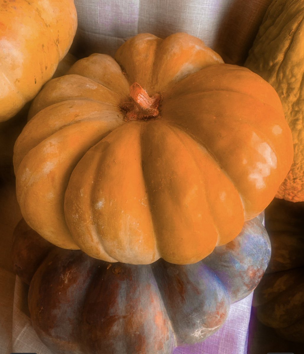 IskuiC62123's tweet photo. Pumpkins https://t.co/ZC0gxDy3YD