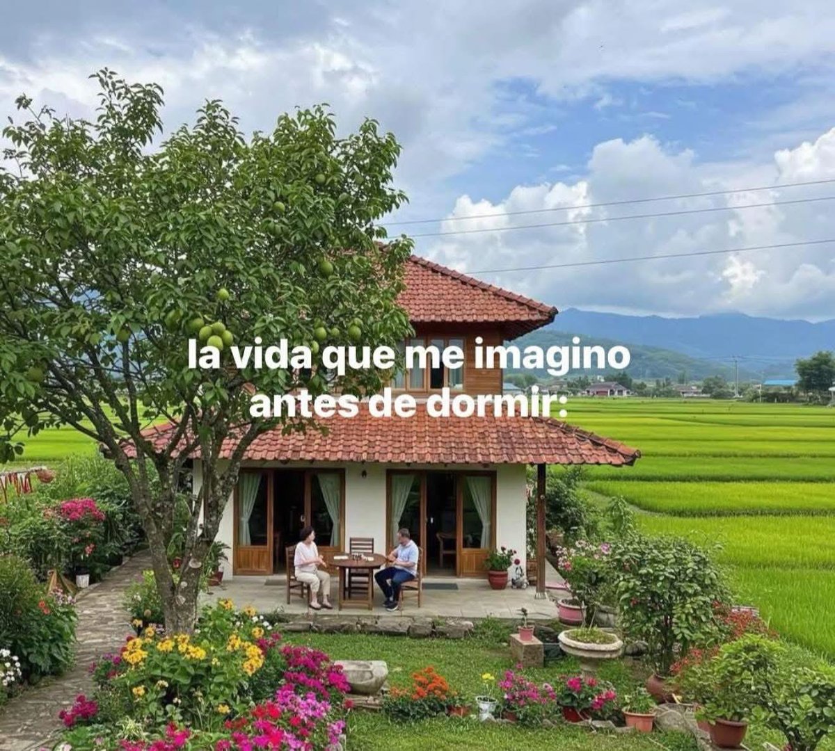 indirectosofi's tweet photo. https://t.co/28hfKQ0G6a