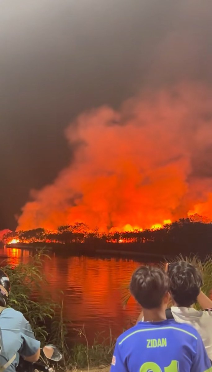 bersuwara_'s tweet photo. ngerasa something fishy ngga sih karna belakangan ini karhutla terjadi di mana mana…

setelah kalimantan, riau, jambi, lampung, aceh, jogja, jatim, trus sekarang ada kebakaran lahan di semarang… apa ada unsur kesengajaan biar tampak “lazim” kah… biar seolah emang karna alam… https://t.co/KnmQV08q7c