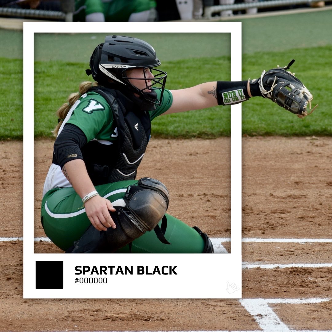 YCPSoftball's tweet photo. 💚🤍🖤🩶
#LetsGoYork #PTG https://t.co/n47ziHAWBd