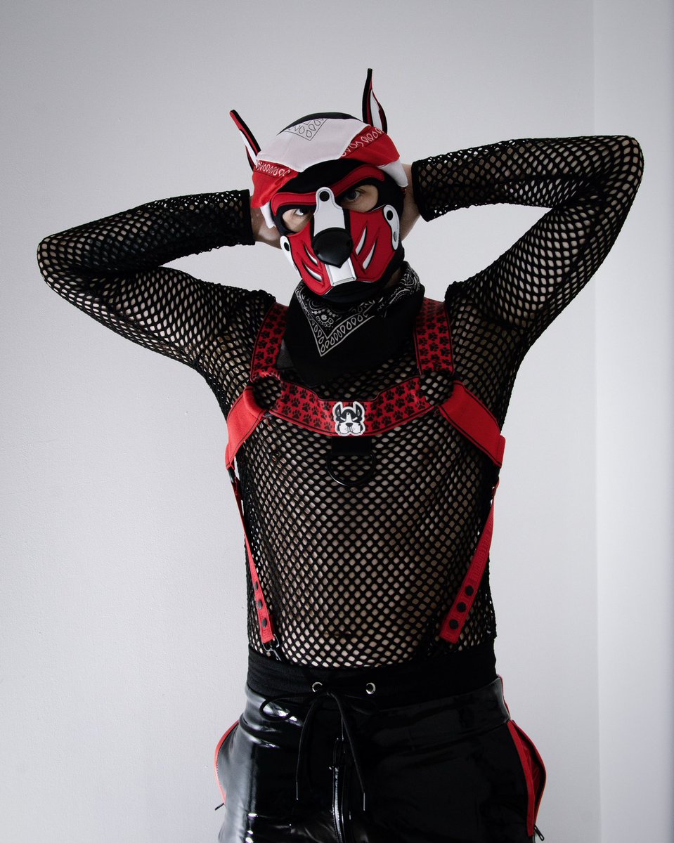 SubPupComet's tweet photo. Any puppies wanna huff me ? https://t.co/j1sJzEfNqi