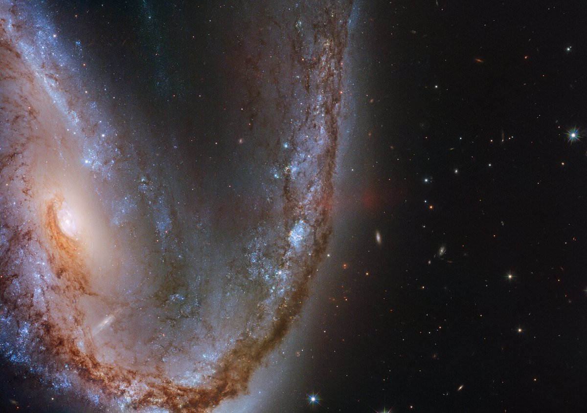 WorldAndScience's tweet photo. A galaxy full of drama: NGC 2442 has one spiral arm curled tightly inward and another extending far into space, dotted with bright regions of recent star formation.

(Credit: ESA/Hubble &amp; NASA, S. Smartt et al.) https://t.co/fDWscwMNMy
