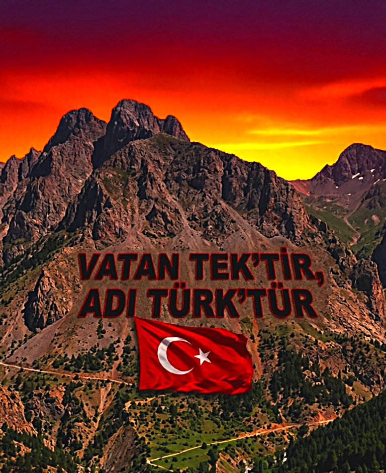 Exodia829193's tweet photo. Vatan Tek'tir 
Adı Türk'tür 🇹🇷🇹🇷 https://t.co/thK3qRib9G