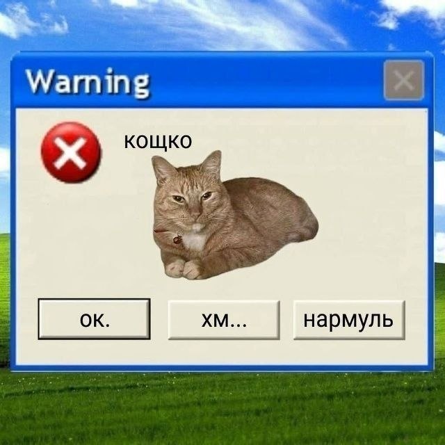 catsilcats's tweet photo. ок. хм... нармуль https://t.co/2JYxXzUrYh
