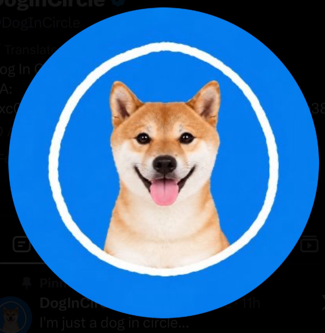 DogInCircle's tweet photo. Dog in circle in a circle.

$DIC squared https://t.co/Hxgncm9N9M