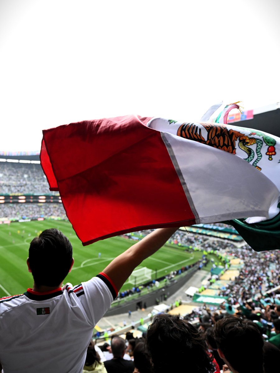fifaworldcup_es's tweet photo. Un estadio, infinitas emociones. 🏟️🤩

#CopaMundialFIFA https://t.co/r6QcbA30vl