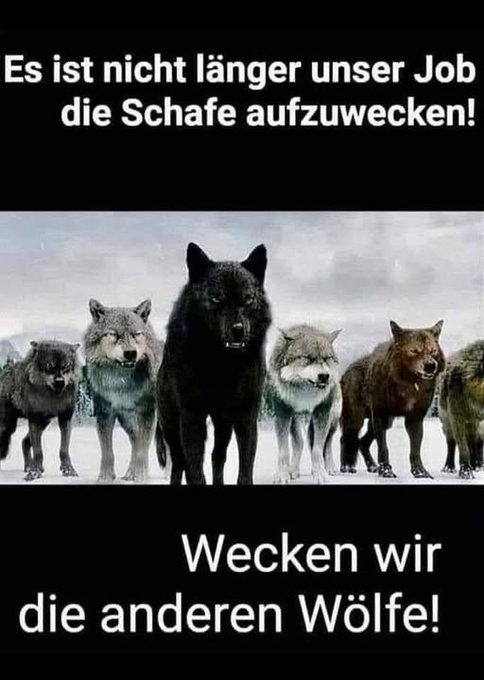 Odin14Thor42130's tweet photo. @rebew_lexa Wölfe Deutschland ehebt eure Stimme !!!! https://t.co/GDLdN9ZbXv