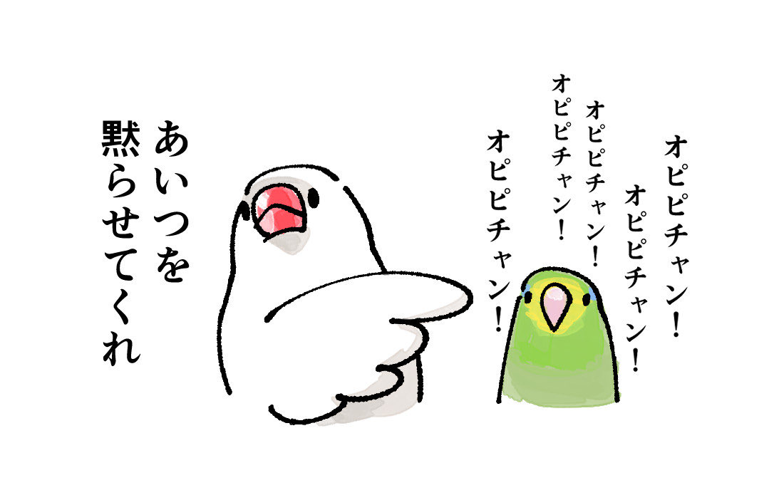 opipi_omame's tweet photo. https://t.co/AGkCWN0mam