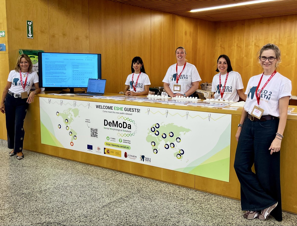 Tied2Teeth's tweet photo. 🦷 Discover #DeMoDa at #ESHE2026 in Burgos!
The Dental Morphological Database, a major output of the ERC-funded #Tied2Teeth project, brings together data to explore human dental variation through big data. 🌍
@CENIEH @ERC_Research @FECYT_Ciencia
🔗 https://t.co/dVhHfSzi1j https://t.co/wt62kwESH4