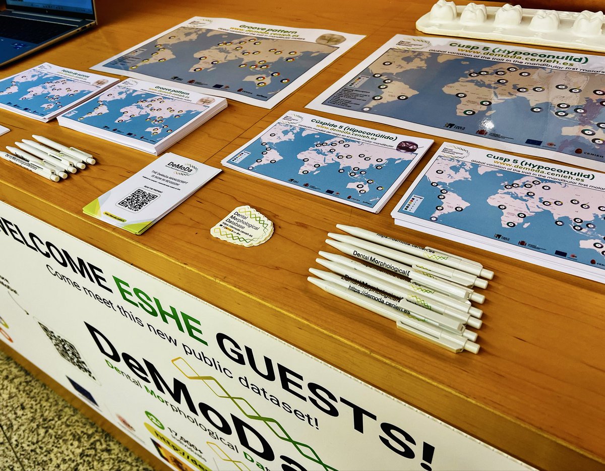 Tied2Teeth's tweet photo. 🦷 Discover #DeMoDa at #ESHE2026 in Burgos!
The Dental Morphological Database, a major output of the ERC-funded #Tied2Teeth project, brings together data to explore human dental variation through big data. 🌍
@CENIEH @ERC_Research @FECYT_Ciencia
🔗 https://t.co/dVhHfSzi1j https://t.co/wt62kwESH4