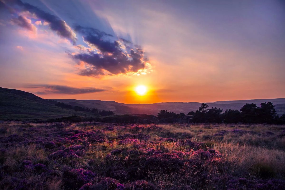 RambleAndPint's tweet photo. England is a mystical land inhabited by an ancient people, the English. A unique and noble race, born from the consolidation of Angle, Saxon, Jute and Briton. One of the oldest people on earth, who have continuously inhabited this special land for well over 1300 years.

🏴󠁧󠁢󠁥󠁮󠁧󠁿🦁 https://t.co/uYBNCWD9BS