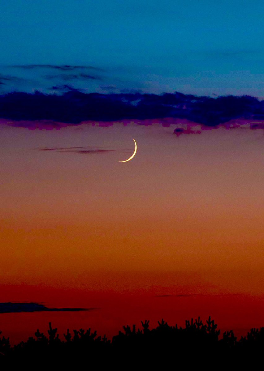 MichelangeloCat's tweet photo. Sii felice.
E il motivo arriverà…
#buonaserata #goodevening 🌅🥂 https://t.co/bHvPPZtVL0