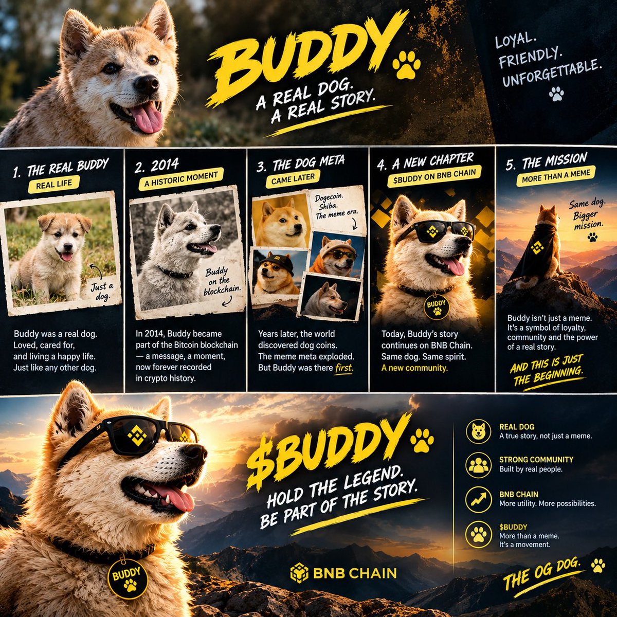 Cryptonomics1K's tweet photo. @FerreWeb3 Let’s do it Buddy. But why only 100m?

The real life story about The First Crypto Dog. 
Community driven and built. Owner from 2013 onboard. 
More than just a meme. 

Verifiable @BuddyonBNB 

https://t.co/I22Vtq0Xxy https://t.co/gIzdqZMF3m
