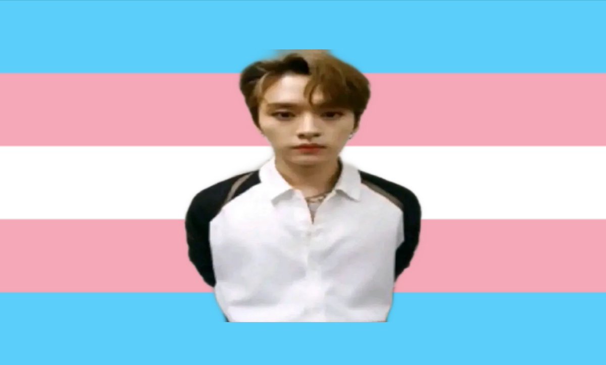 meepknow's tweet photo. made a flag for trans people who love leeknow https://t.co/Moy5ElVez2
