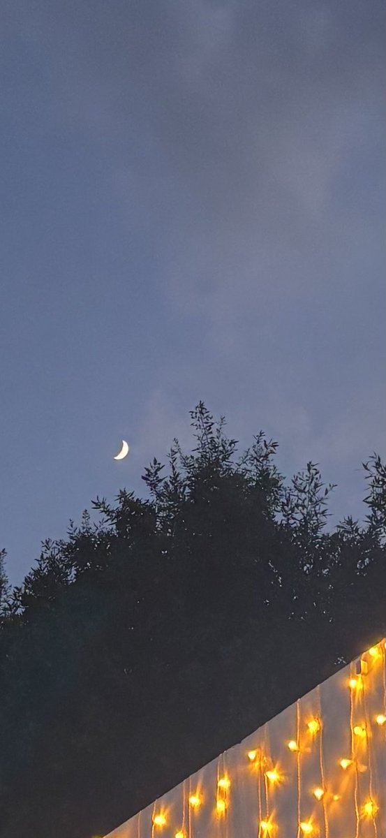 Boringpegpuff's tweet photo. 🌙 ✨ https://t.co/mtuFWhIGOR