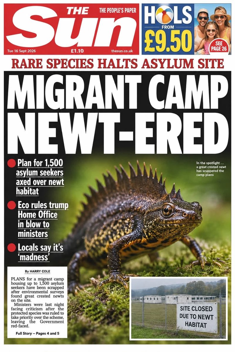 LeoKearse's tweet photo. I'm launching a business selling great crested newts https://t.co/NwbosIvDSQ