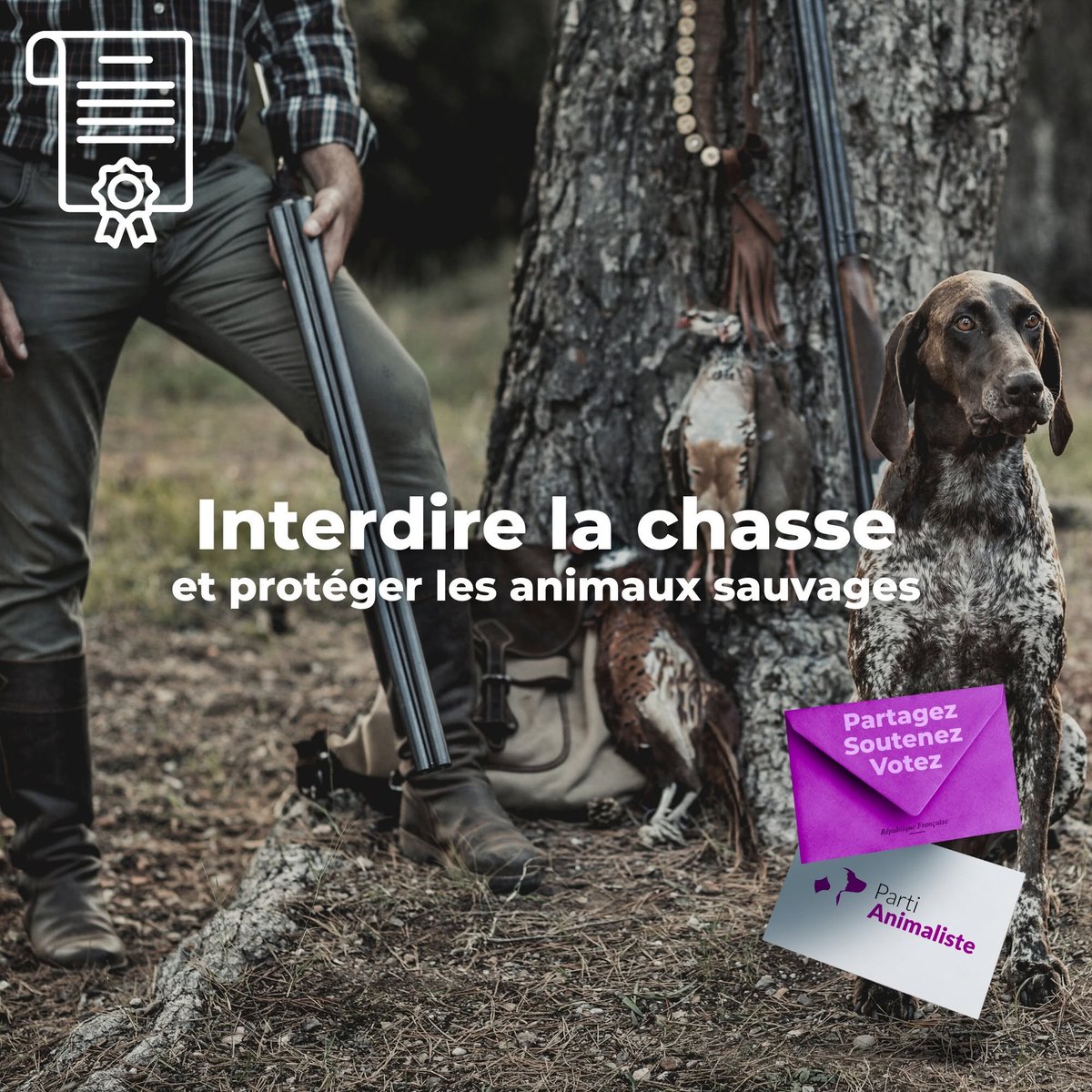 ChasseAbolition's tweet photo. https://t.co/lpMjxrtnc4 https://t.co/GfEH9pPafQ