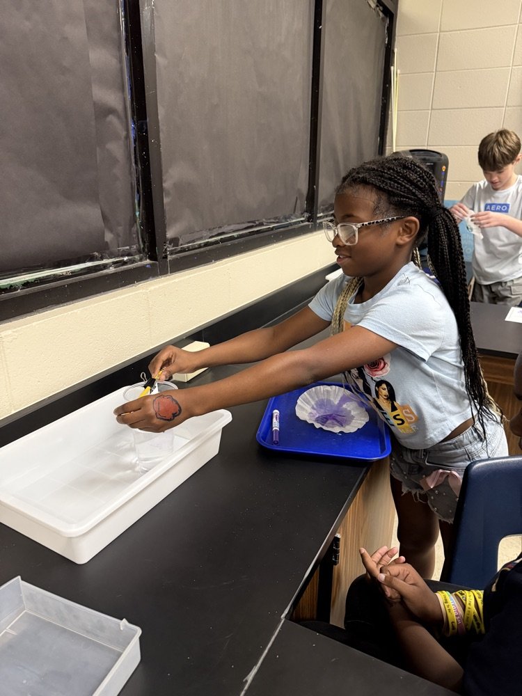 StarCitySchools's tweet photo. Science in Action!

Our 4th and 5th graders explored chromatography today using markers, water, and coffee filters! They investigated how colors separate into different pigments as the water moves through the paper. #bethebest https://t.co/f1rv4A5Qgh