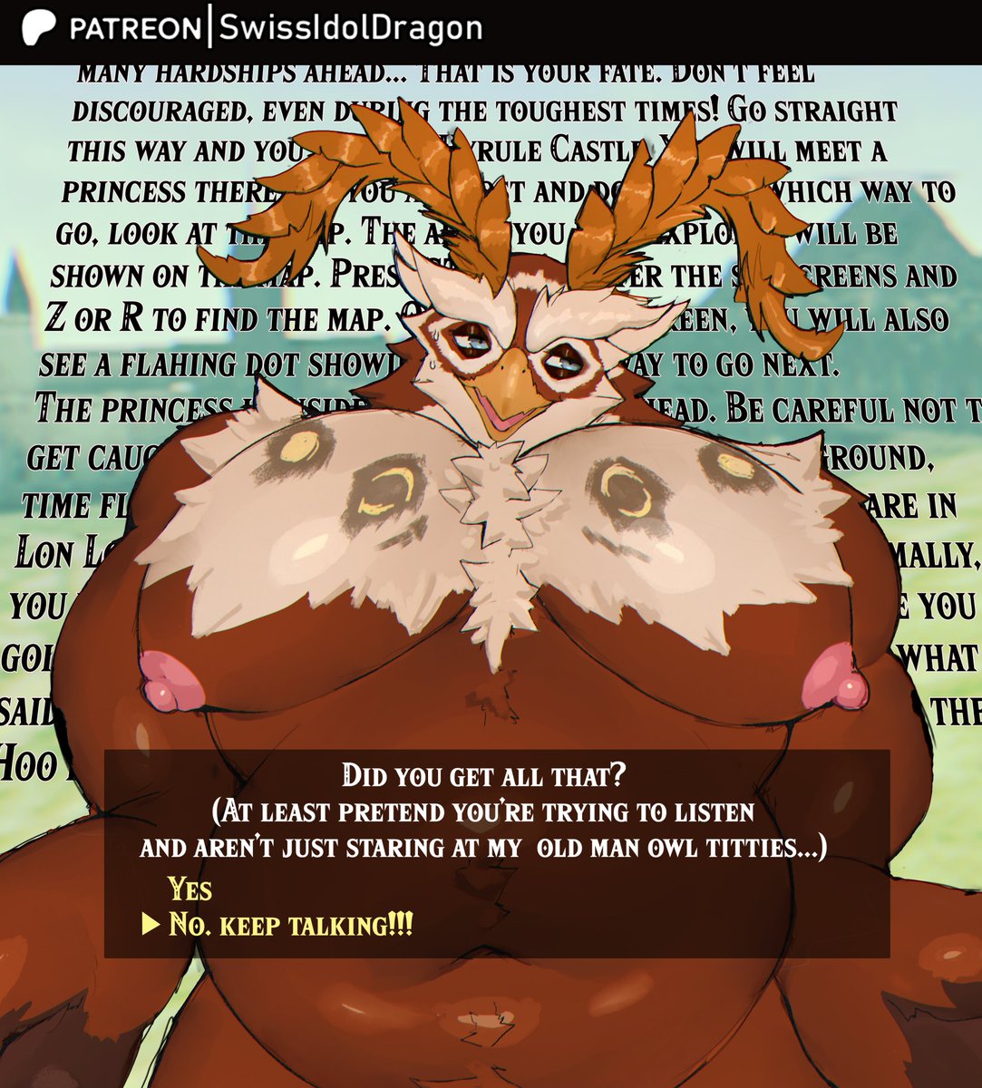 SwissIdolDragon's tweet photo. How 👉WE👈 are gonna be moving in the ocarina of time remake with the professional yapper owl https://t.co/aYJMlqmySp