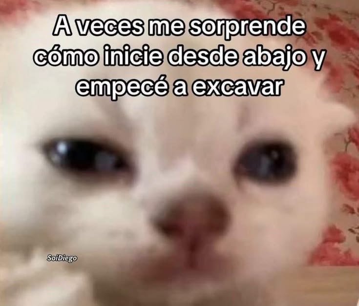 ritamaquintero's tweet photo. 🪏🪏 https://t.co/sGi8W4poAA