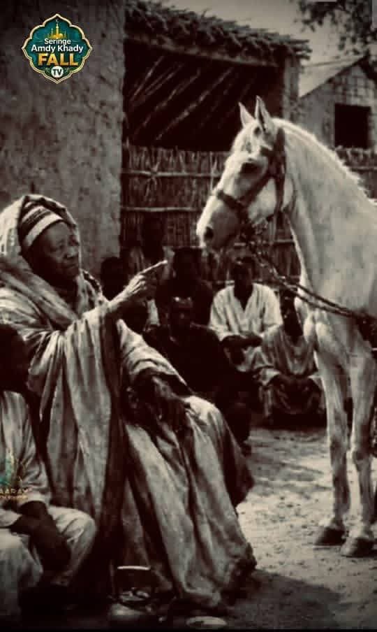 Sowrou10's tweet photo. Séex Muhammadul Faadal Mbàkke https://t.co/jvFzPhKm0c