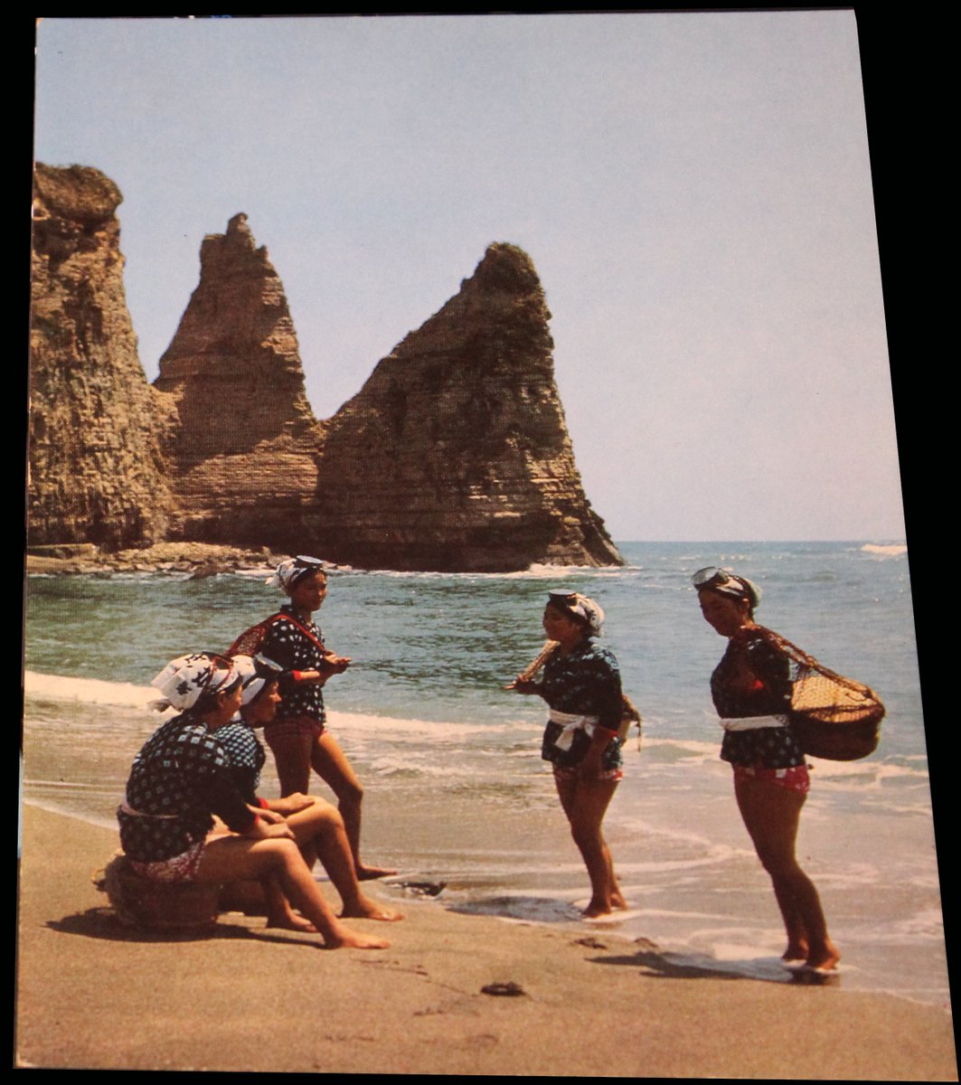 azumanokuni's tweet photo. 先日ポストした大波月の1975年ごろの絵葉書。

千葉県外房地域もかつて海女で知られていましたが消滅し過去の文化に。

この当時レジャーブームで、海女をやるより儲かるということで次々「民宿」へと転業したという背景があります。

背後のローソク岩も今は欠損し、半世紀の時の流れを感じます。 https://t.co/FUFl4J5Fh1
