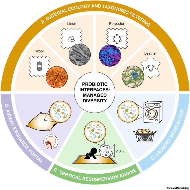 TrendsMicrobiol's tweet photo. The textile web as a probiotic interface https://t.co/eE0vsju4ld https://t.co/fqDHGREzWU