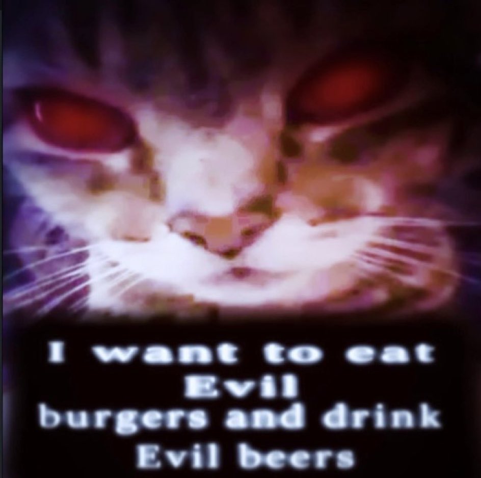 HOUNDEI's tweet photo. https://t.co/veHwO4QuUF