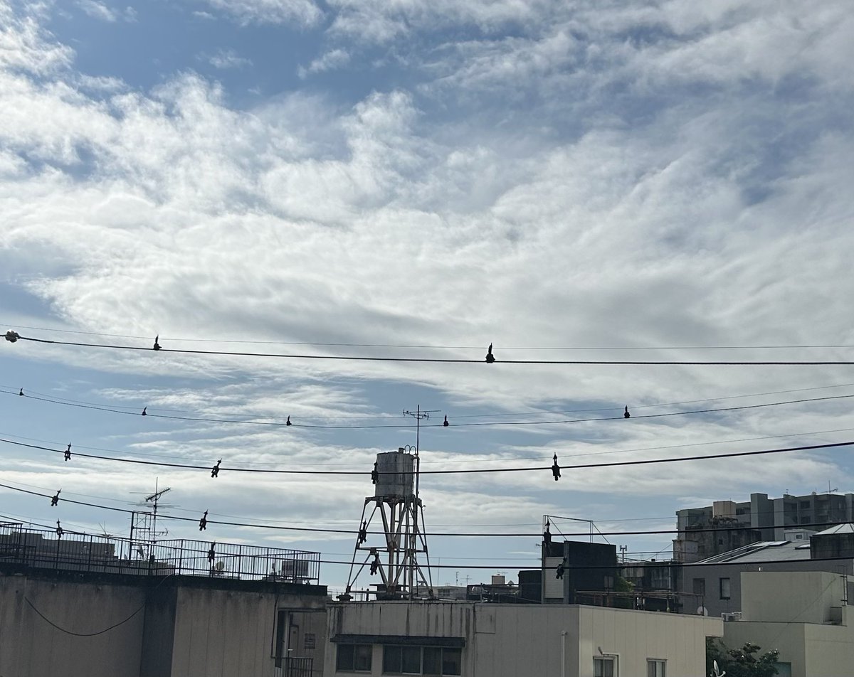 ryouteiokami's tweet photo. おはようございます。久しぶりの青空！こんなに嬉しいとは！昨日までのどんよりした空から一転、青空が見えるだけで心まで晴れました。やっぱりお日様の力はすごいですね。今日も気持ちよく一日を始めます。
#企業朝の挨拶 #大垣 #おはようございます https://t.co/r4y5whBKsX