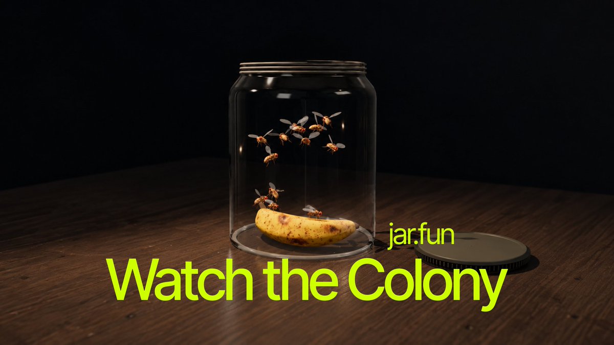 jardotfun's tweet photo. Watch the Colony

Watch what happens when several flies reach the same food patch.

Some stay to feed, while others move away as the area gets crowded.

Follow their paths around the jar, then open a fly’s profile to see its recent encounters and activity.

The feed turns selected moments into posts you can follow.