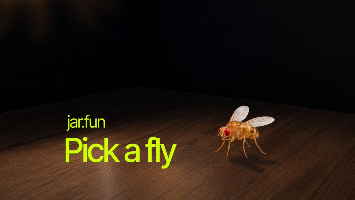 jardotfun's tweet photo. Pick a Fly

Pick any fly in the jar and take a closer look.

Its profile shows what it is doing, which food patches it has visited and which neighbors it has encountered.

You can inspect its memories alongside the signals influencing its behavior.

Follow the same fly over time to see how its preferences change.