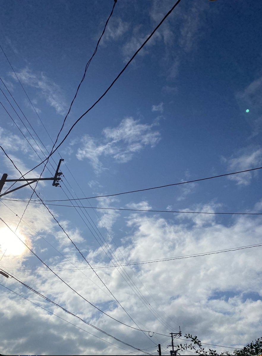 nandenko_takeda's tweet photo. おはようございます🌅
今日も☀️。朝方は涼しく湿度もそこまでは感じませんが、暑くなってきました😅
昨日はその前の日がハードだったため、少しスローダウンでできる作業に集中しようとしてたら、��前に母から「病院に..」と、アッシーを求める電話が…。
母お願いだからもう余計な手間増やさないで😭 https://t.co/gLhMAlDlGz