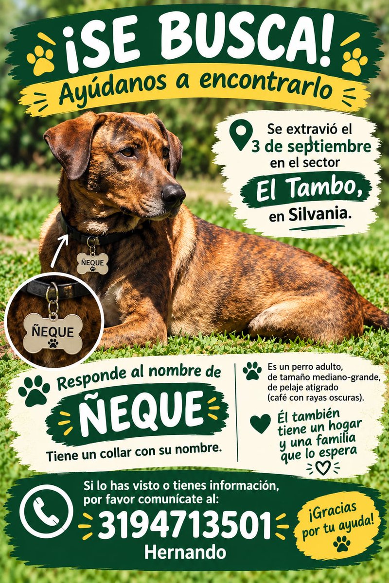 NandoEscobarVe's tweet photo. Por favor, ayúdenme a difundir. 

Mi perro está perdido desde la noche del 3 de septiembre. Se escapó de mi casa y del conjunto, y aunque regresó a la portería a las 11.10 p. m. (esto se ve en las cámaras de seguridad), el vigilante no le abrió la puerta ni me avisó. https://t.co/lB9zhVeMv1