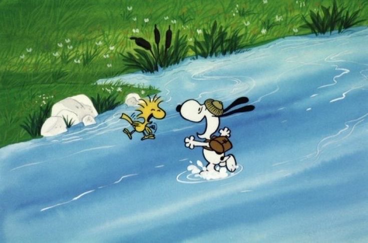 DailySnoopys's tweet photo. https://t.co/enmWjX2TeS