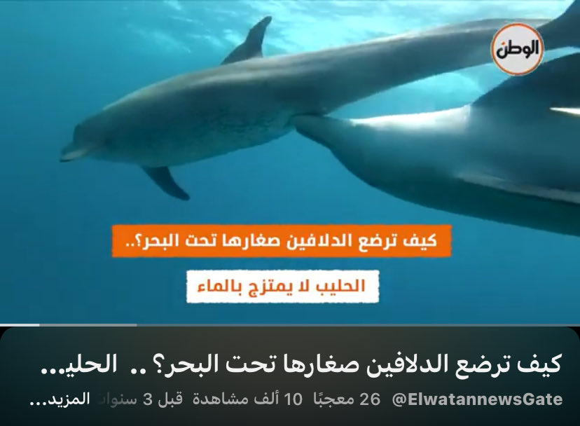 Alcoldfish's tweet photo. @itsragd رحلتنا من حليب القطوه للدولفين https://t.co/WzZEUFIW0M