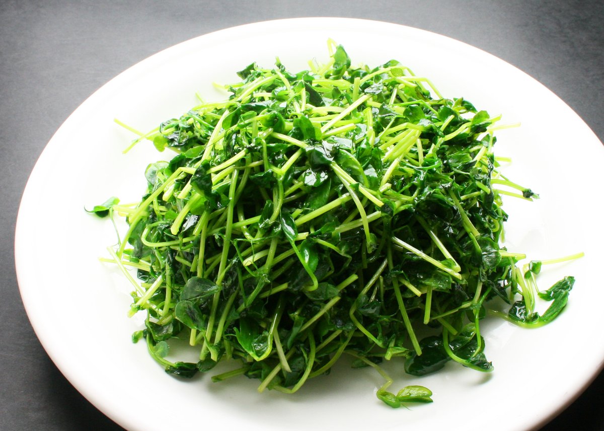 ChinaMinatoan's tweet photo. ＼シャキシャキ🥬❕／

『豆苗の塩味炒め』

シンプル素材がやみつき💭
豆苗をサッと炒めました！

あっさり食べたい時や、
当てがほしい時にもおすすめです💁‍♀️

#中国食堂 #横浜 #ランチ #定食 #中華 https://t.co/pnZn0JJL8Q